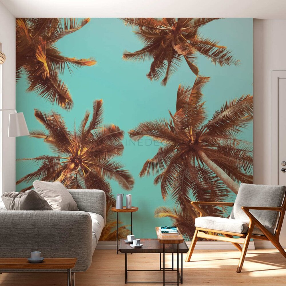 Coconut Palm Trees Wallpaper